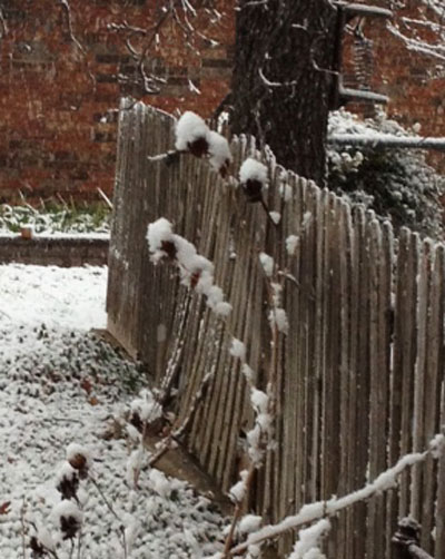 snow-fence